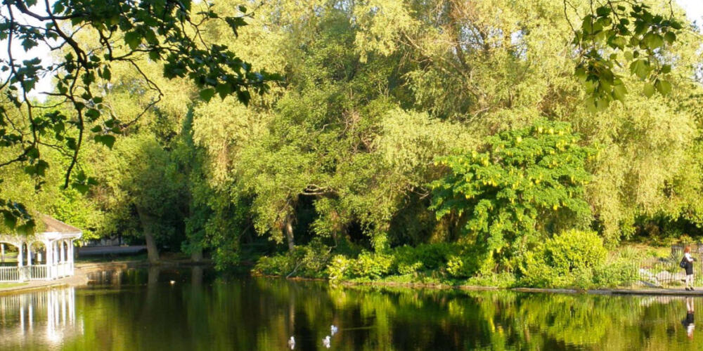 Stephens Green - Walks